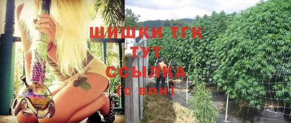2c-b Карпинск