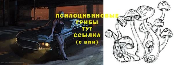тгк Карталы