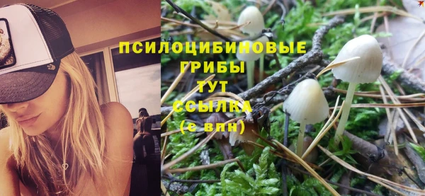 гашишное масло Касимов